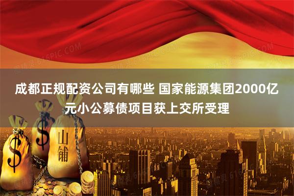 成都正规配资公司有哪些 国家能源集团2000亿元小公募债项目获上交所受理