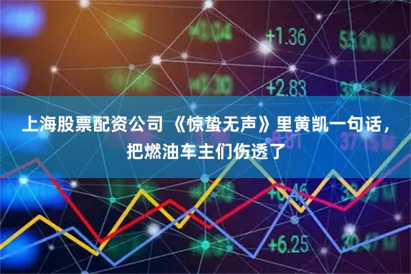 上海股票配资公司 《惊蛰无声》里黄凯一句话，把燃油车主们伤透了
