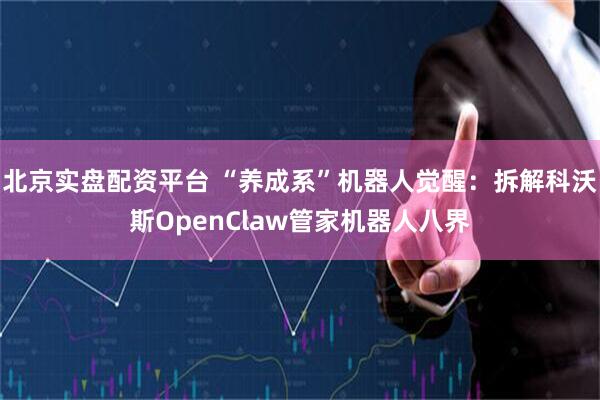 北京实盘配资平台 “养成系”机器人觉醒：拆解科沃斯OpenClaw管家机器人八界